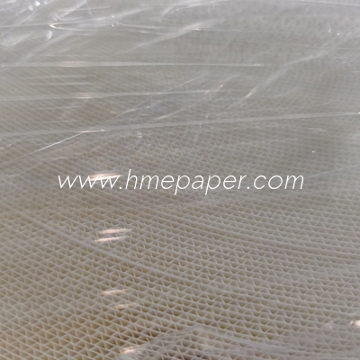 comprare W10mm-50mm Larghezza carta filtro HME con il massimo assorbimento dell'acqua e materiale di legno e fiore online manufacture